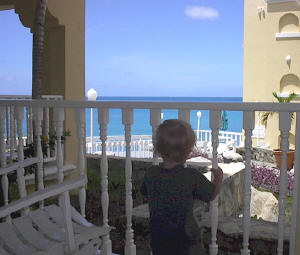 William checks out the view... and scopes for stairs....